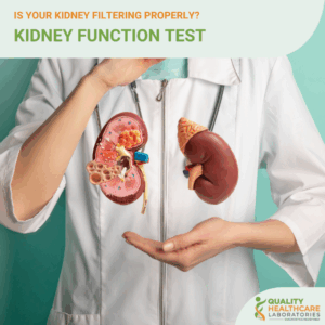 Kidney Function Check – Renal Health Assessment