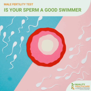 Male Fertility Profile